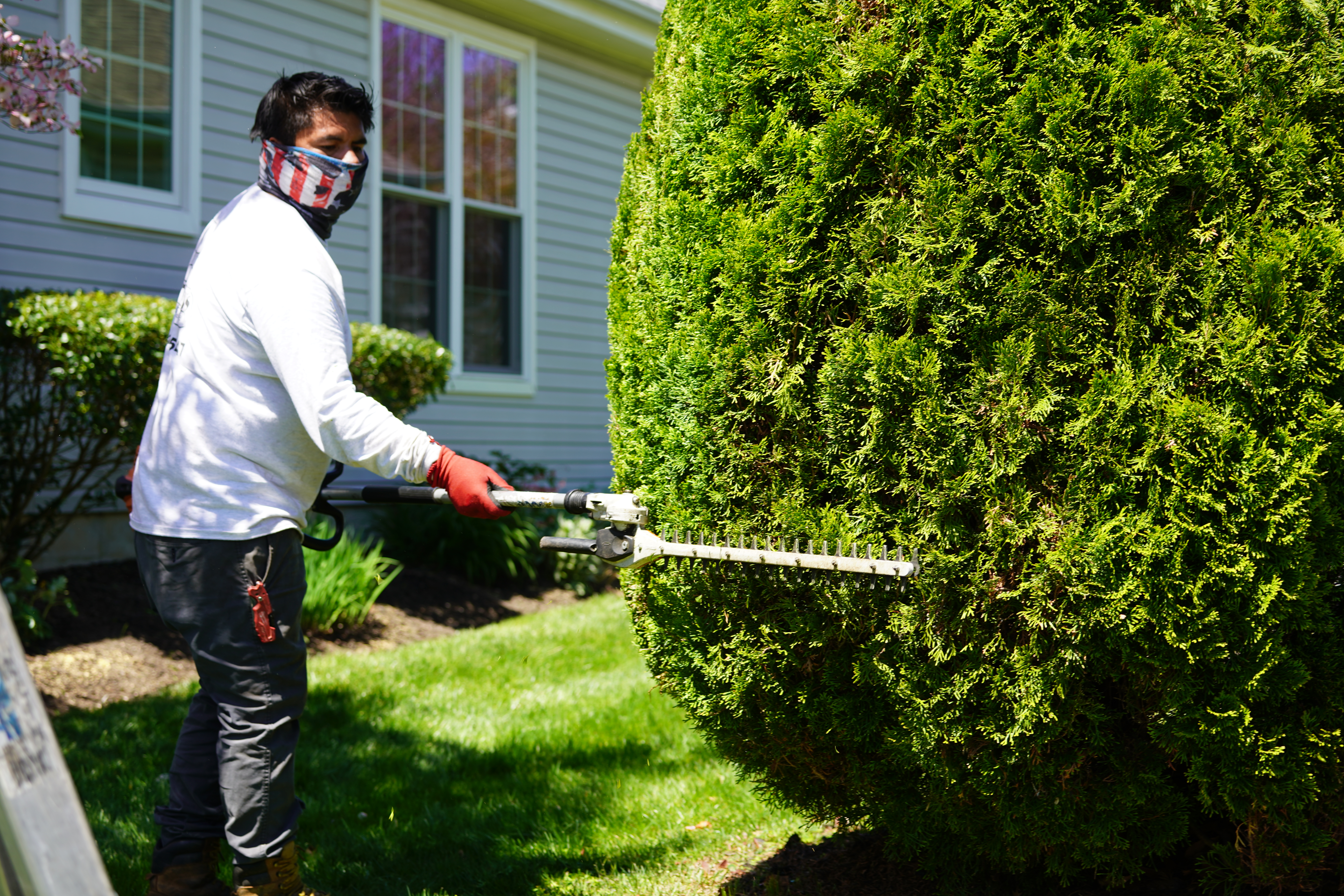 Juan's Lawn Service landscaping project